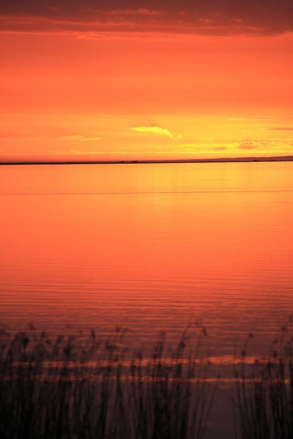 Lake Albert Motel Meningie Esterno foto